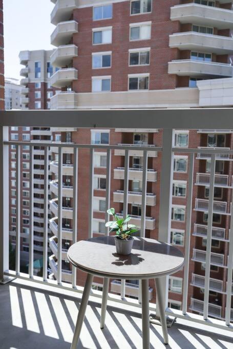 Bright Apartment Walk To Ballston Metro Arlington Zewnętrze zdjęcie